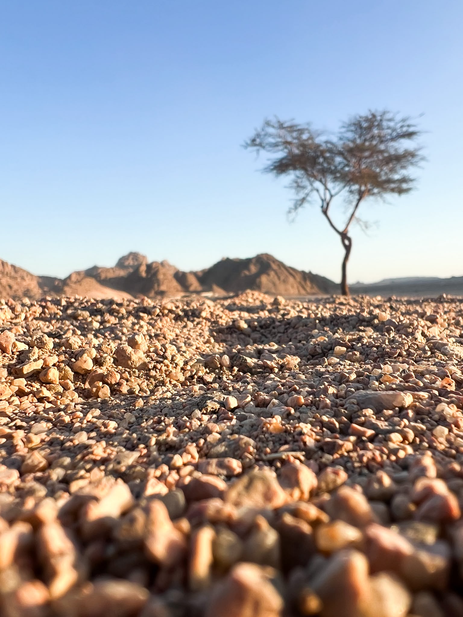 Landscape Photography